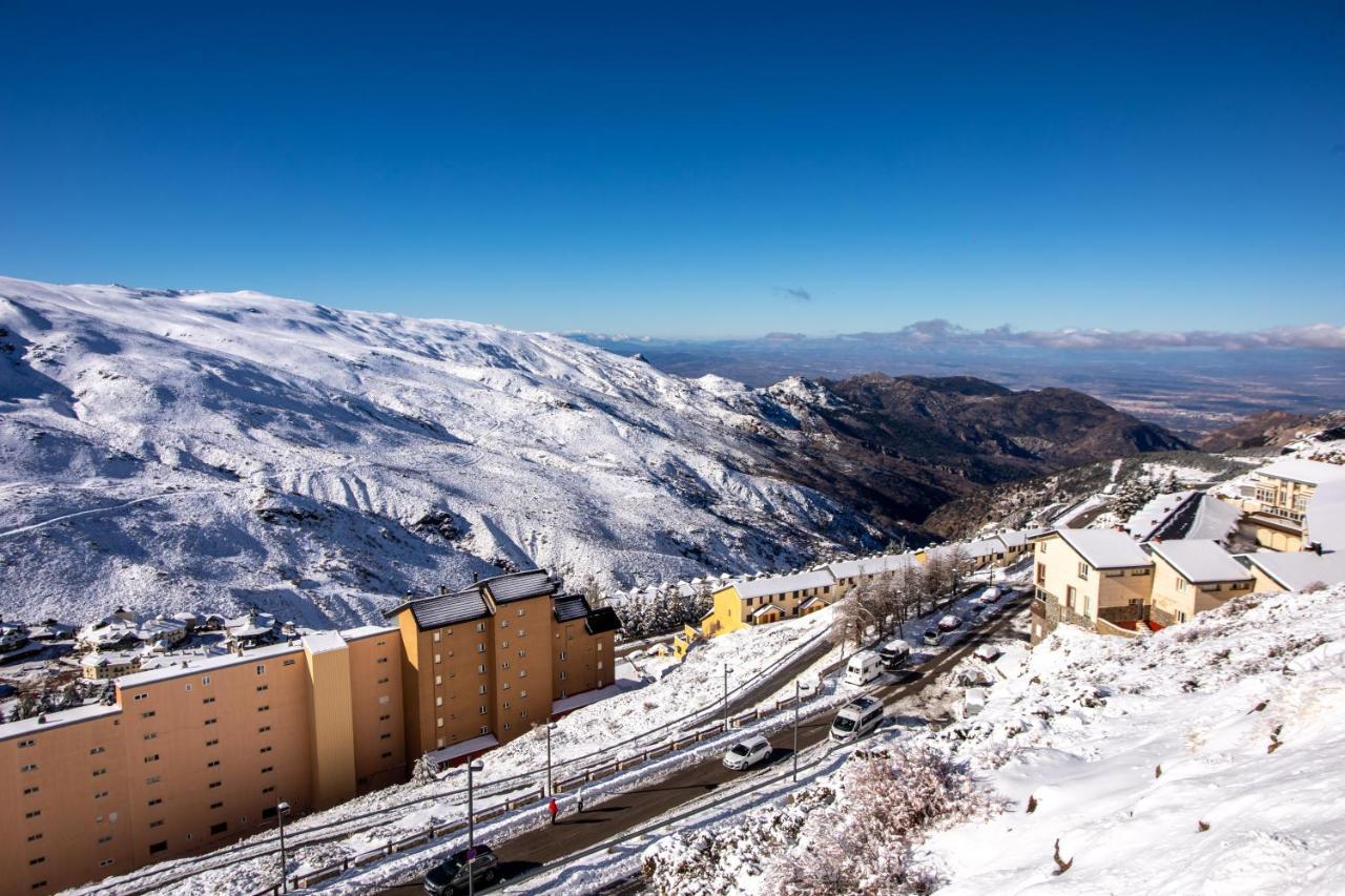 Trebol * Sierra Nevada